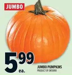 Metro Jumbo pumpkins offer