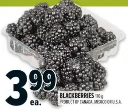 Metro Blackberries offer
