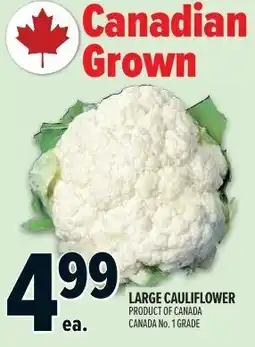 Metro Large cauliflower offer