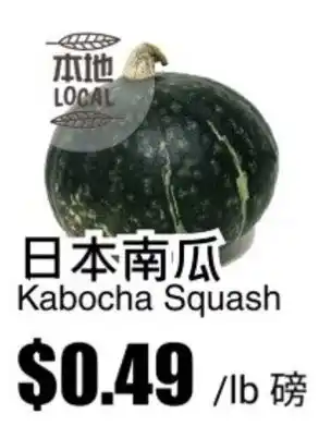 Kabocha Squash