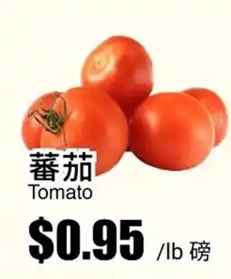 Rice World Supermarket Tomato offer