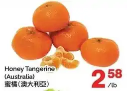 T&T Supermarket Honey Tangerine offer