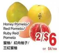 T&T Supermarket Honey Pomelo/Red Pomelo/Ruby Red Pomelo offer