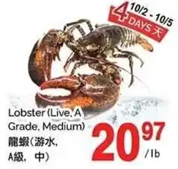 T&T Supermarket Lobster offer