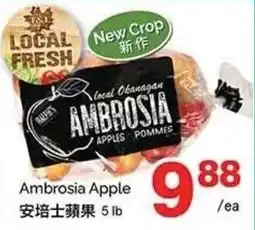 T&T Supermarket Ambrosia Apple offer