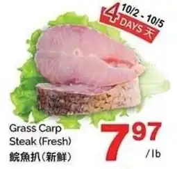 T&T Supermarket Grass Carp Steak offer