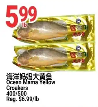 Ocean Mama Yellow Croakers