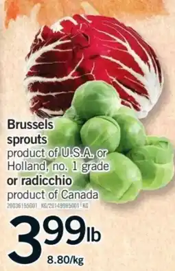 Fortinos Brussels sprouts or radicchio offer