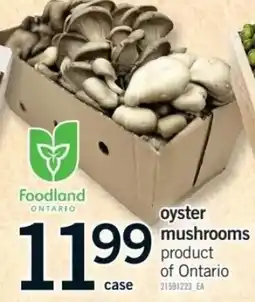 Fortinos Foodland oyster mushrooms offer