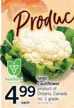 Fortinos Foodland cauliflower offer