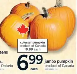 Fortinos colossal pumpkin offer