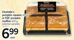 Fortinos Charlotte's pumpkin squares offer