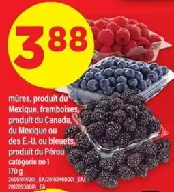 Maxi mûres, framboises, bleuets offer