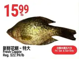 SunFood Supermarket Fresh Cappie offer