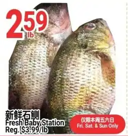 SunFood Supermarket Fresh Baby Station offer