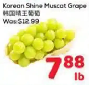Korean Shine Muscat Grape