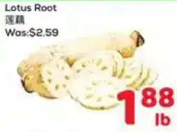 Foody Mart Lotus Root offer