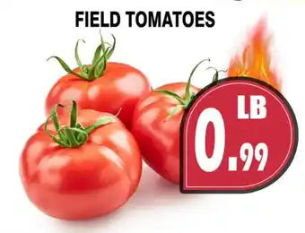 Field Tomatoes