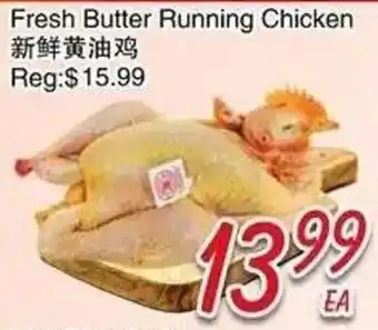 Fresh Butter Running Chicken