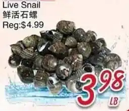Foody Mart Live Snail offer