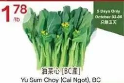 Lucky Supermarket Yu Sum Choy offer