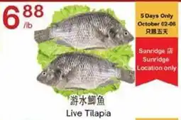 Lucky Supermarket Live Tilapia offer