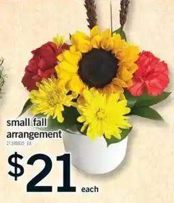 Fortinos small fall arrangement offer