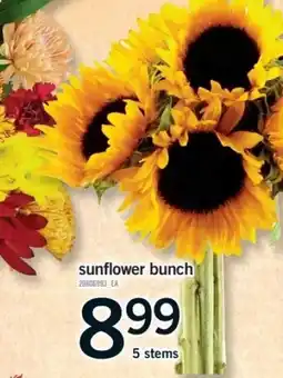 Fortinos sunflower bunch offer