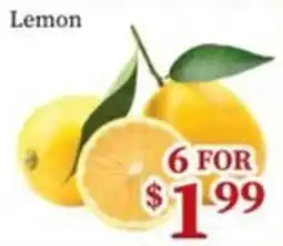 Nations Fresh Foods Lemon offer