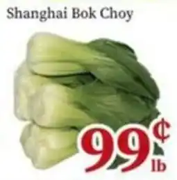 Nations Fresh Foods Shanghai Bok Choy offer