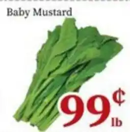 Nations Fresh Foods Baby Mustard offer