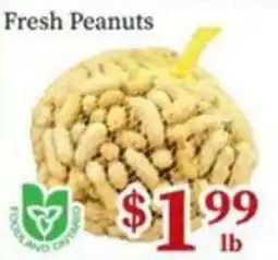 Nations Fresh Foods Fresh Peanuts offer