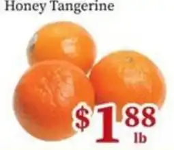 Nations Fresh Foods Honey Tangerine offer