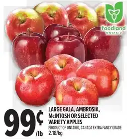 Metro Foodland apples offer