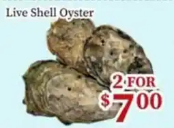 Nations Fresh Foods Live Shell Oyster offer