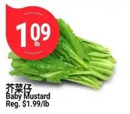 SunFood Supermarket Baby Mustard offer