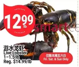 SunFood Supermarket Live Lobster offer