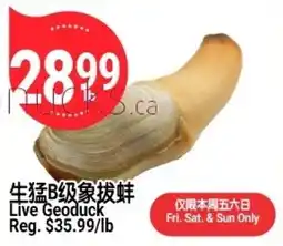 SunFood Supermarket Live Geoduck offer