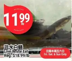 SunFood Supermarket Live White Eel offer
