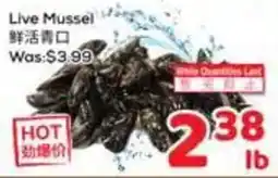 Foody Mart Live Mussel offer