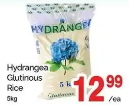 T&T Supermarket Hydrangea Glutinous Rice offer
