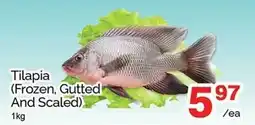 T&T Supermarket Tilapia offer