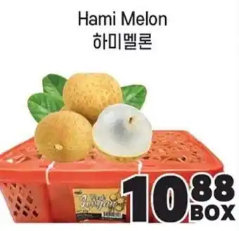 Hami Melon