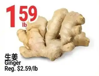 Ginger
