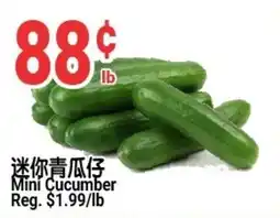 SunFood Supermarket Mini Cucumber offer