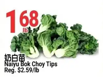 Naiyu Bok Choy Tips