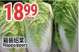 SunFood Supermarket Nappa peppers offer
