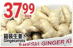 SunFood Supermarket Gingerarrots offer