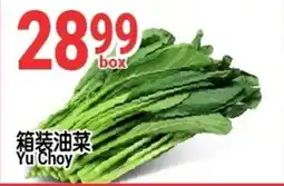 SunFood Supermarket Yu Choy offer