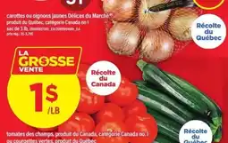 Maxi tomates des champs courgettes vertes offer